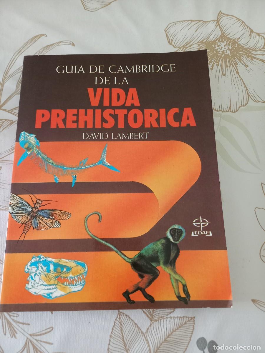 Libros de segunda mano: GU&Iacute;A DE CAMBRIDGE DE LA VIDA PREHIST&Oacute;RICA. DAVID LAMBERT. EDAF, 1991 - Foto 1