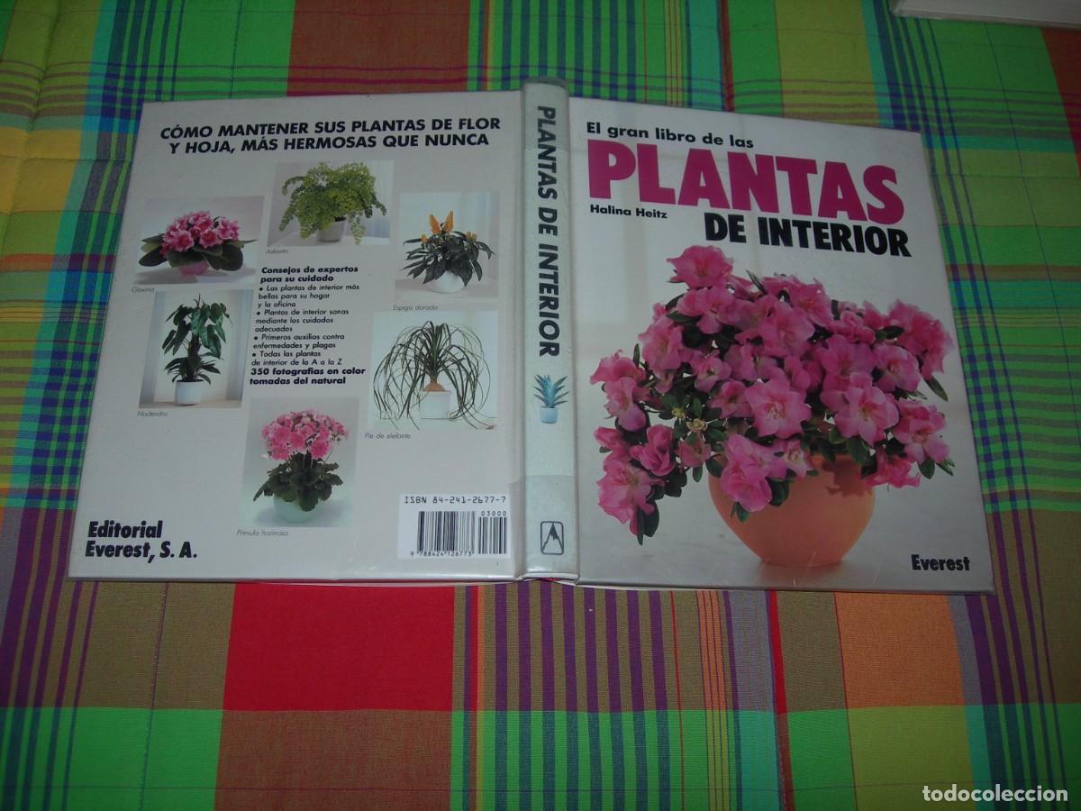 Libros de segunda mano: EL GRAN LIBRO DE LAS PLANTAS DE INTERIOR / HALINA HEITZ / BOT&Aacute;NICA - Foto 1