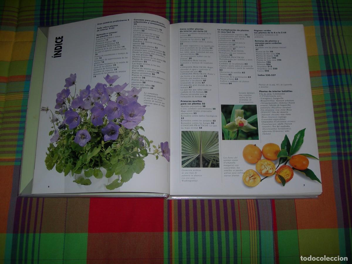 Libros de segunda mano: EL GRAN LIBRO DE LAS PLANTAS DE INTERIOR / HALINA HEITZ / BOT&Aacute;NICA - Foto 2