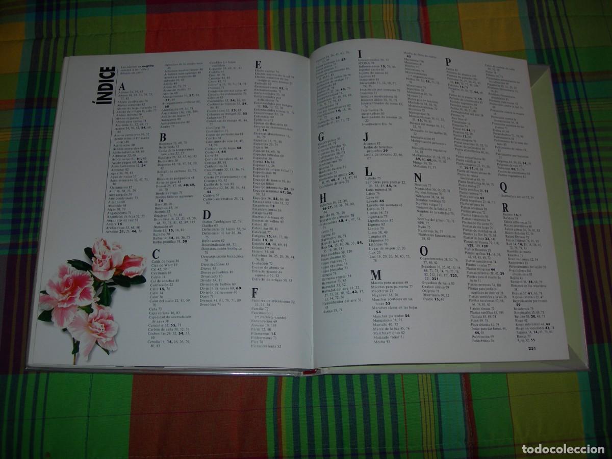 Libros de segunda mano: EL GRAN LIBRO DE LAS PLANTAS DE INTERIOR / HALINA HEITZ / BOT&Aacute;NICA - Foto 3