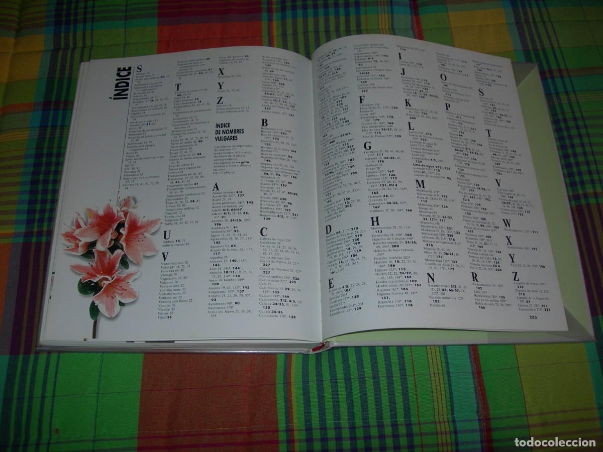 Libros de segunda mano: EL GRAN LIBRO DE LAS PLANTAS DE INTERIOR / HALINA HEITZ / BOT&Aacute;NICA - Foto 4