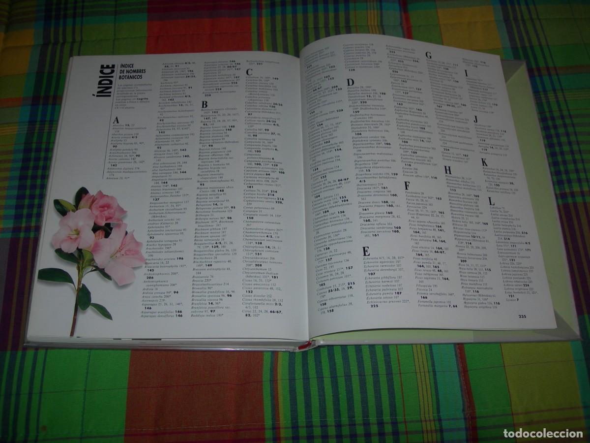 Libros de segunda mano: EL GRAN LIBRO DE LAS PLANTAS DE INTERIOR / HALINA HEITZ / BOT&Aacute;NICA - Foto 5