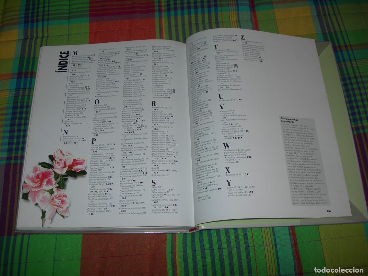 Libros de segunda mano: EL GRAN LIBRO DE LAS PLANTAS DE INTERIOR / HALINA HEITZ / BOT&Aacute;NICA - Foto 6