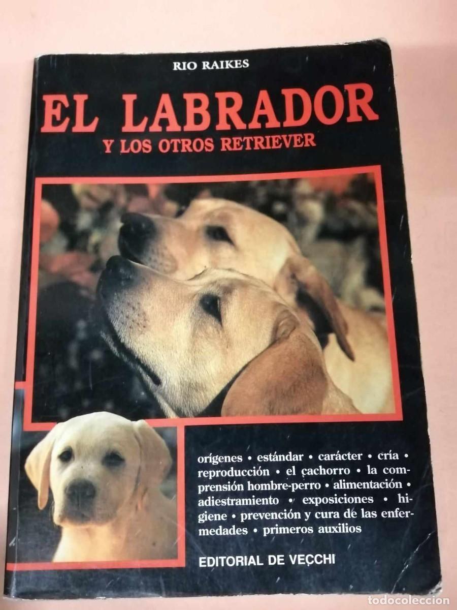 Libros de segunda mano: EL LABRADOR Y LOS OTROS RETRIEVER (RIO RAIKES) - Foto 1