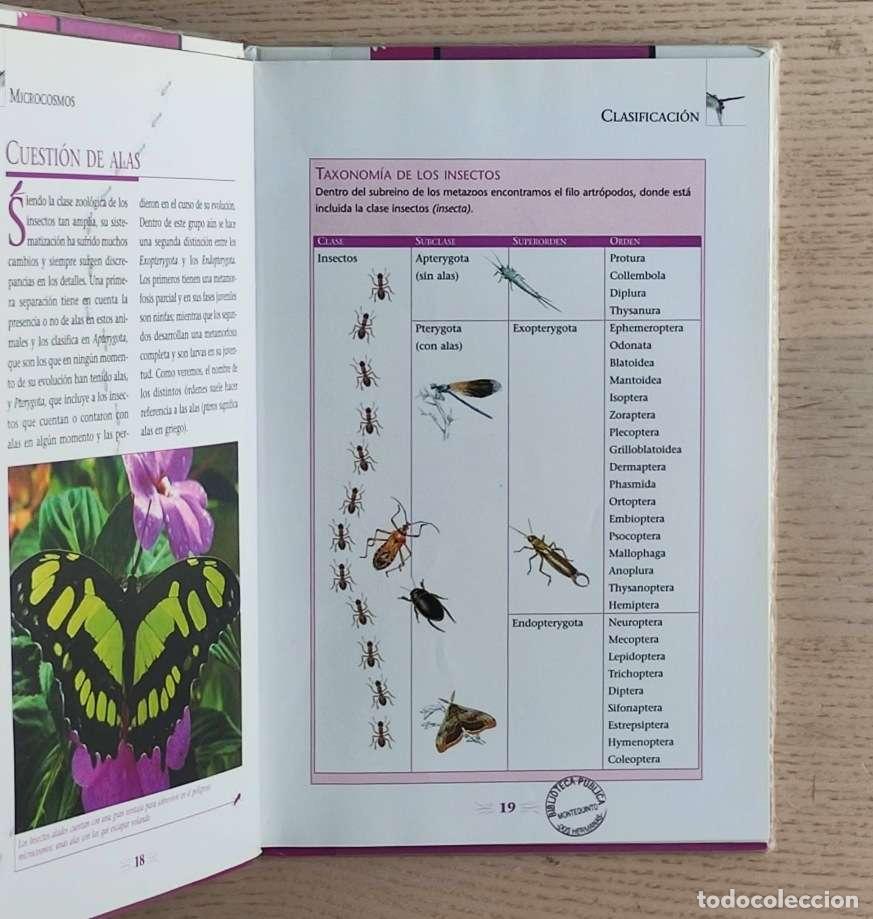 Libros de segunda mano: MICROCOSMOS: INSECTOS (incluye DVD Las hormigas) - Foto 2