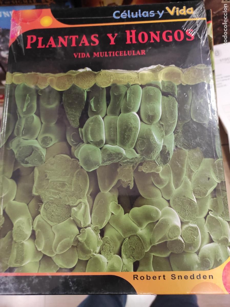 Gebrauchte B&uuml;cher: PLANTAS Y HONGOS:SNEDDEN,R. VIDA MULTICELULAR SNEDDEN,R.