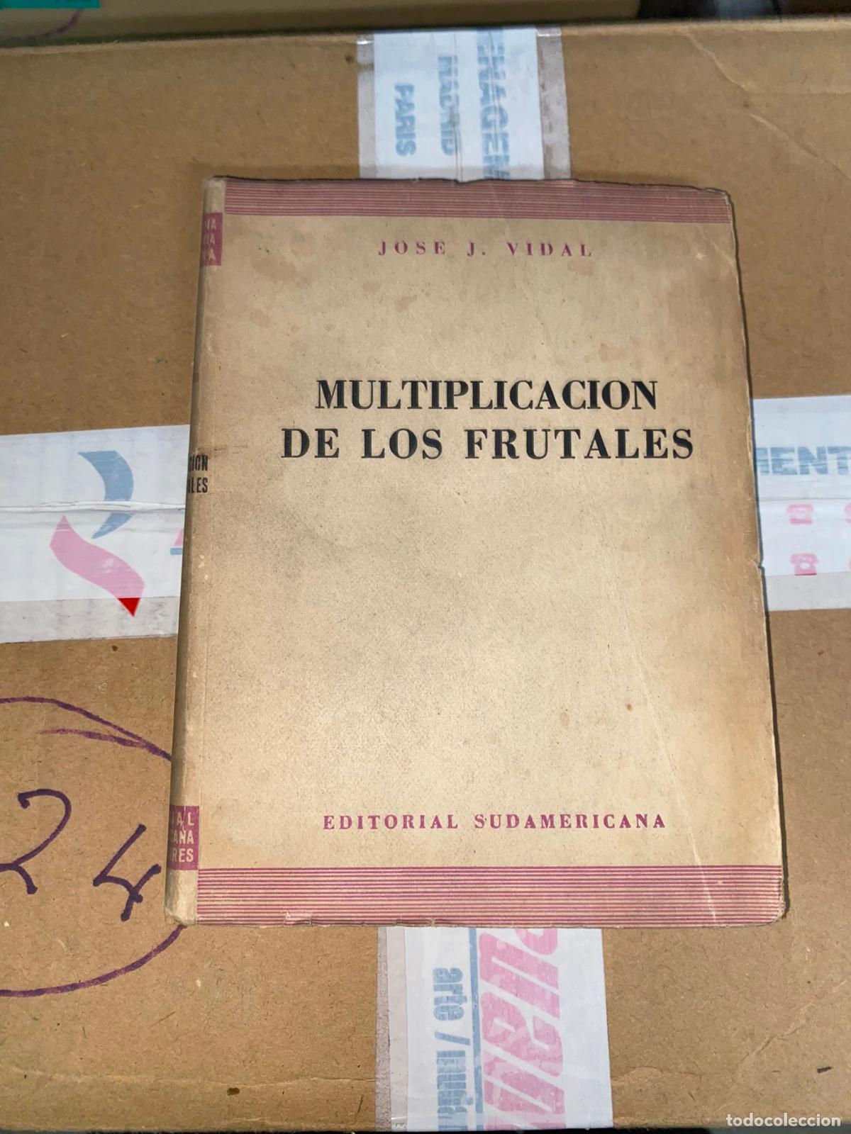 Libros de segunda mano: MULTIPLICACI&Oacute;N DE LOS FRUTALES - VIDAL, JOSE J. - Foto 1