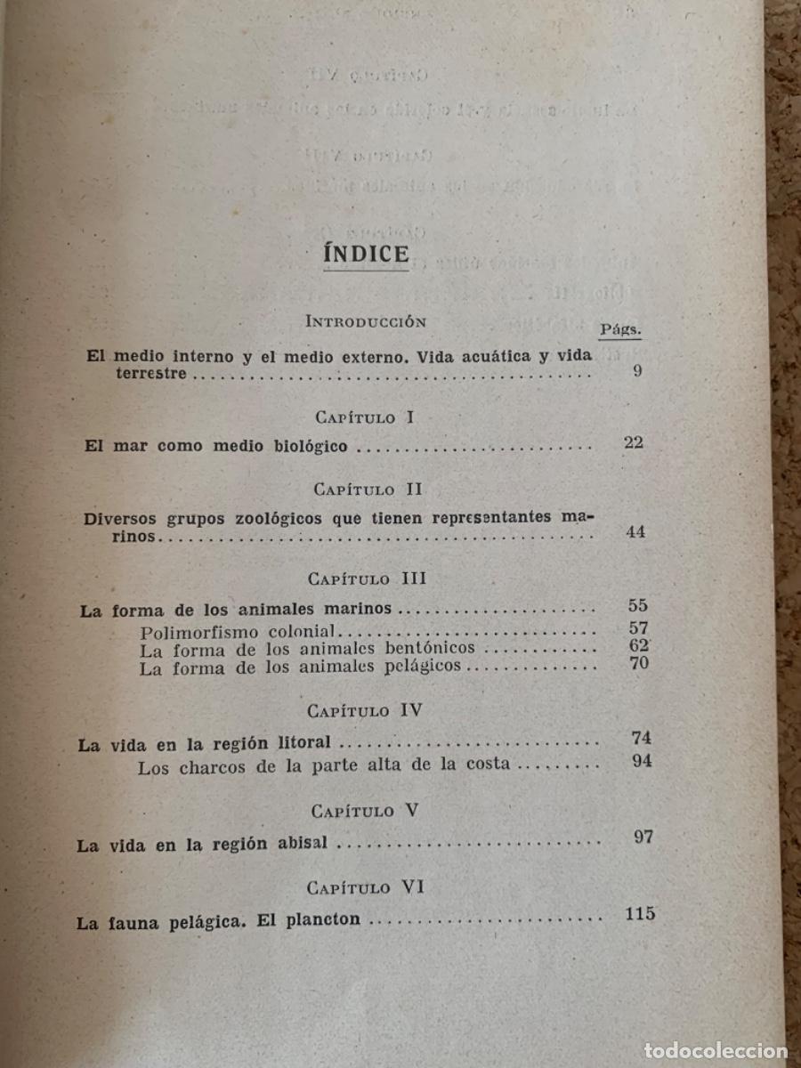 Libros de segunda mano: Los animales marinos (Bos, 31) - Foto 3