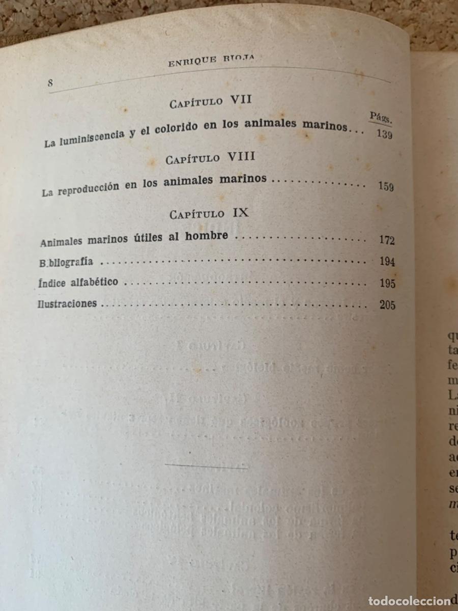Libros de segunda mano: Los animales marinos (Bos, 31) - Foto 4