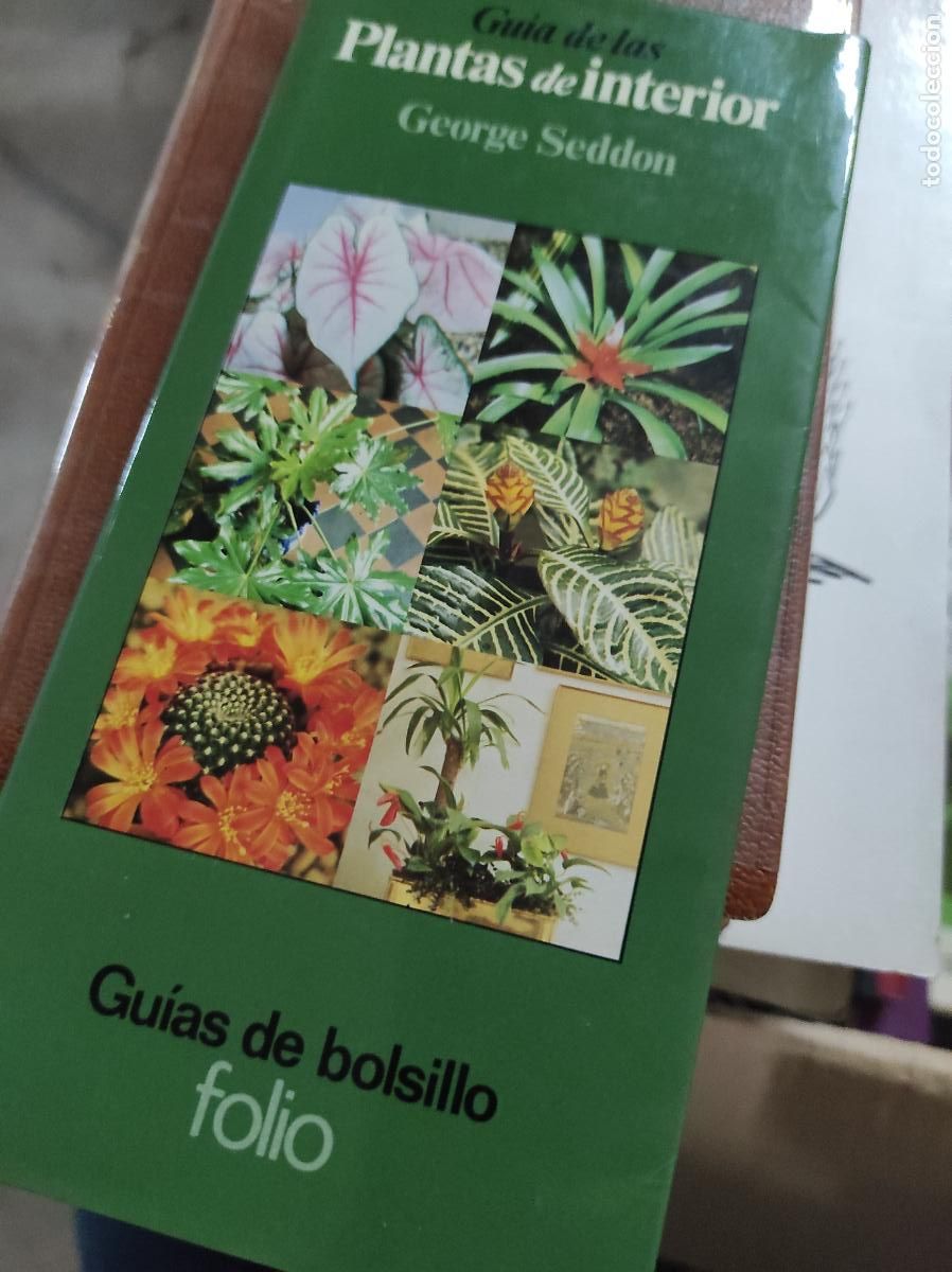 Libros de segunda mano: Gu&iacute;a pr&aacute;ctica de las plantas de interior 1 - Seddon, George - Foto 1