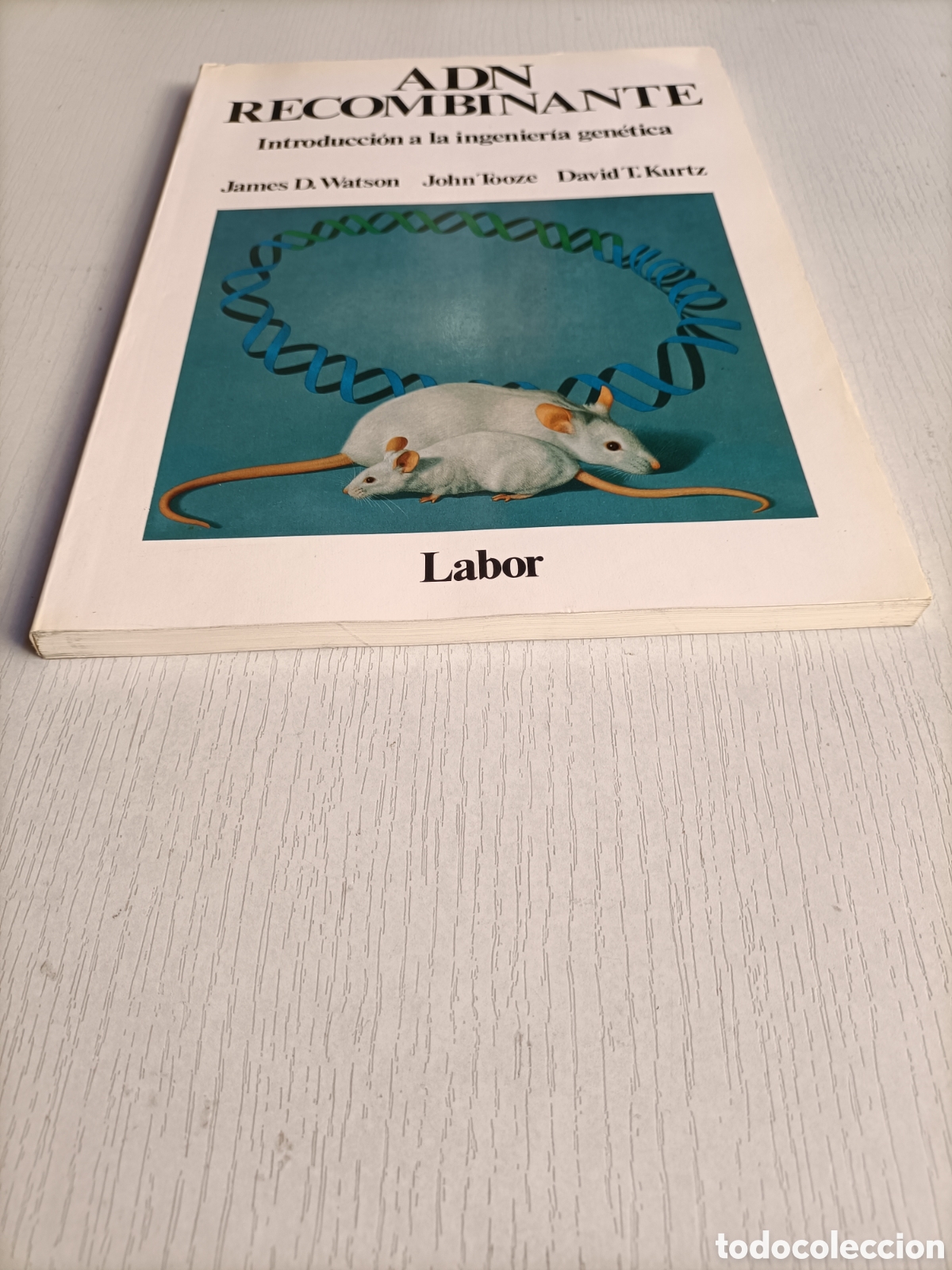 Libros de segunda mano de ciencias: ADN Recombinante. Introducci&oacute;n a la ingenier&iacute;a gen&eacute;tica. James D..Watson - Foto 2