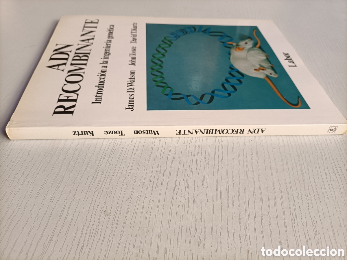 Libros de segunda mano de ciencias: ADN Recombinante. Introducci&oacute;n a la ingenier&iacute;a gen&eacute;tica. James D..Watson - Foto 3