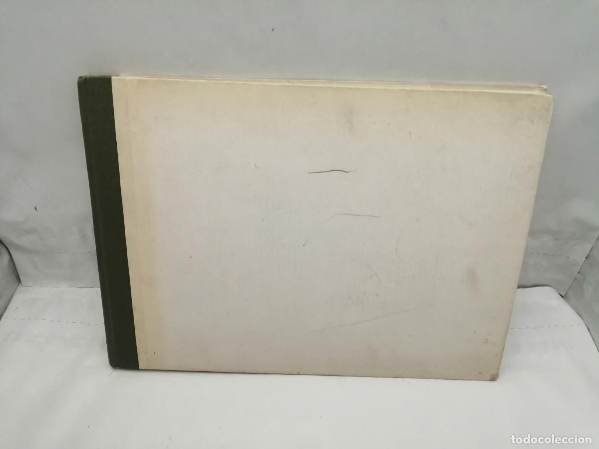 Gebrauchte B&uuml;cher: Cien de las m&aacute;s conocidas aves venezolanas (tapa dura)