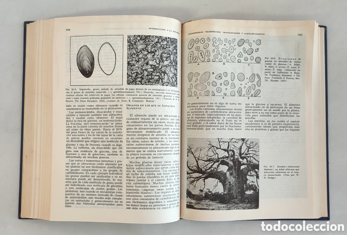 Libros de segunda mano: Introducci&oacute;n a la bot&aacute;nica. Arthur Cronquist. CECSA 1969 - Foto 6