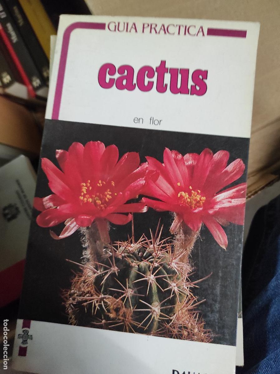 Libros de segunda mano: GU&Iacute;A PR&Aacute;CTICA. CACTUS EN FLOR. GUY RAYZER. DAIMON. - Foto 1