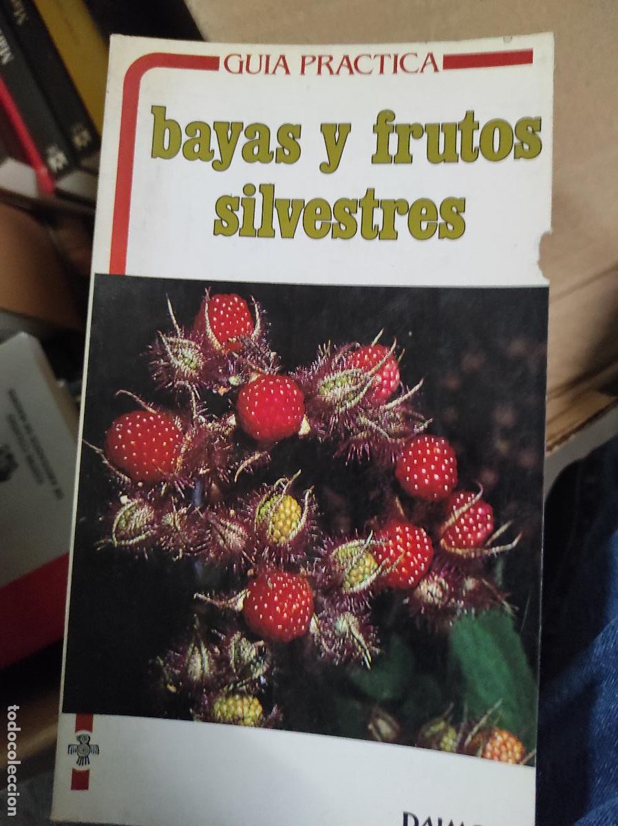 Libros de segunda mano: GU&Iacute;A PR&Aacute;CTICA DE BAYAS Y FRUTOS SILVESTRES (DAIMON - Foto 1