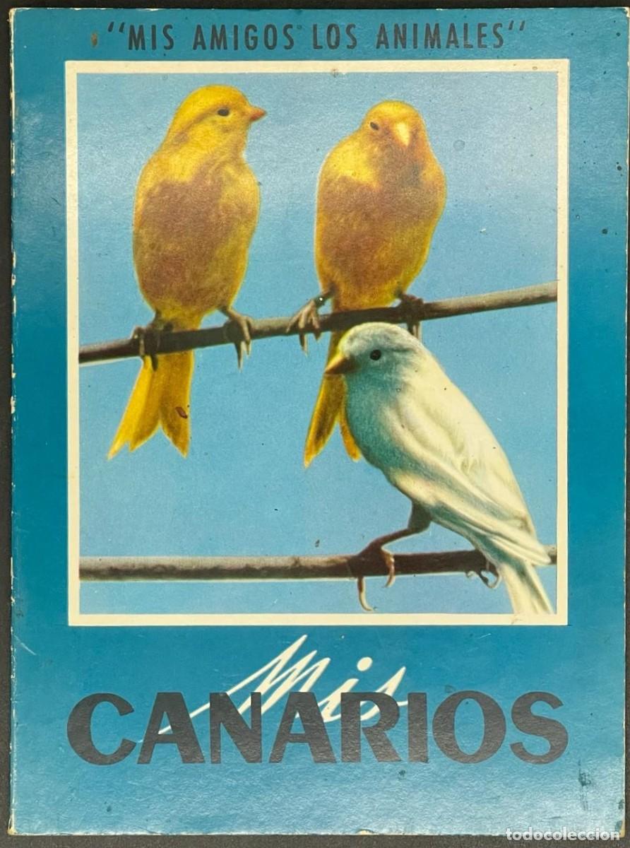 Libros de segunda mano: LIBRO MIS AMIGOS LOS ANIMALES - CANARIOS - Foto 1