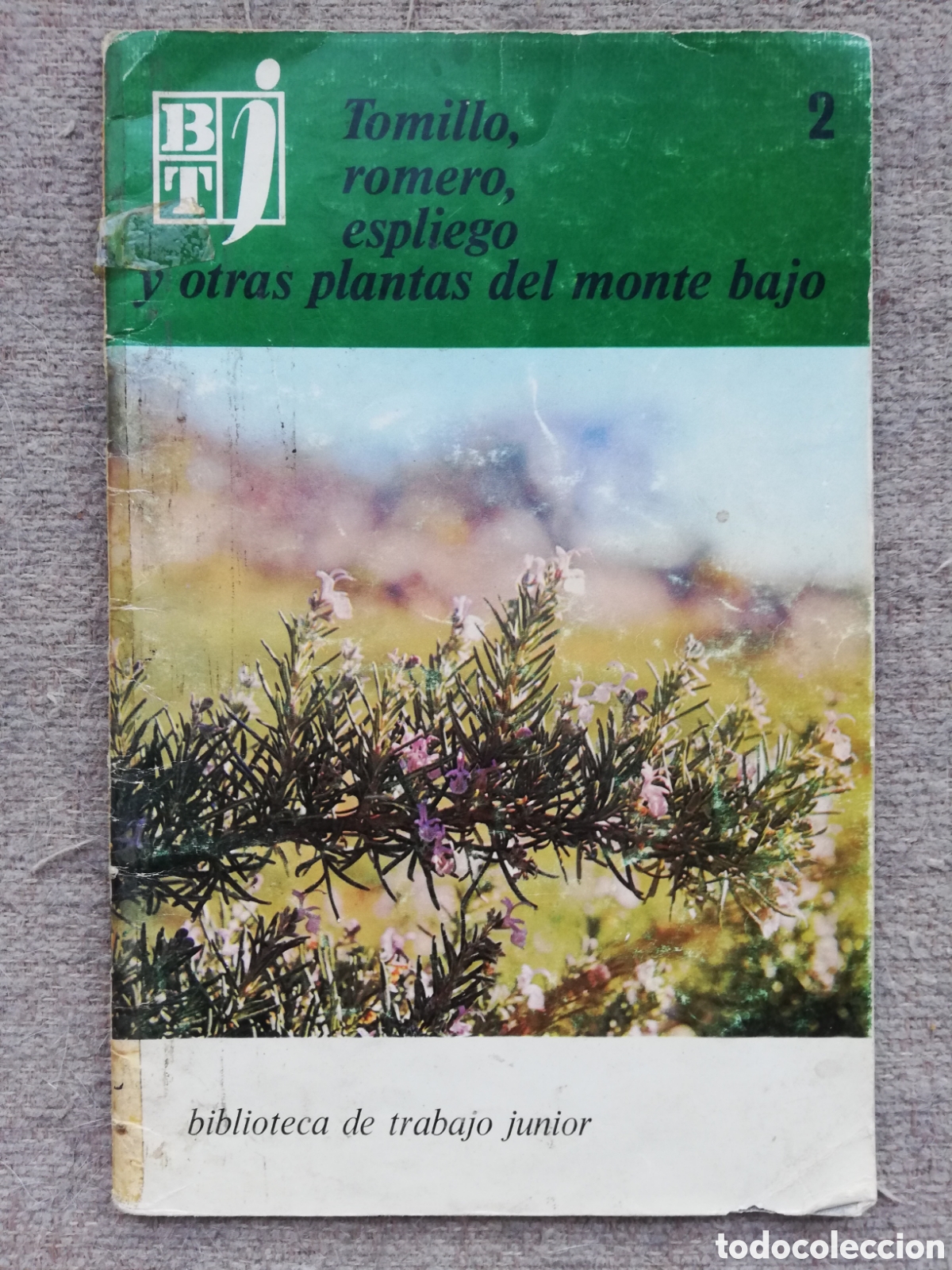 Libri di seconda mano: Biblioteca de trabajo junior 2. Tomillo, romero, espliego y otras plantas del monte bajo