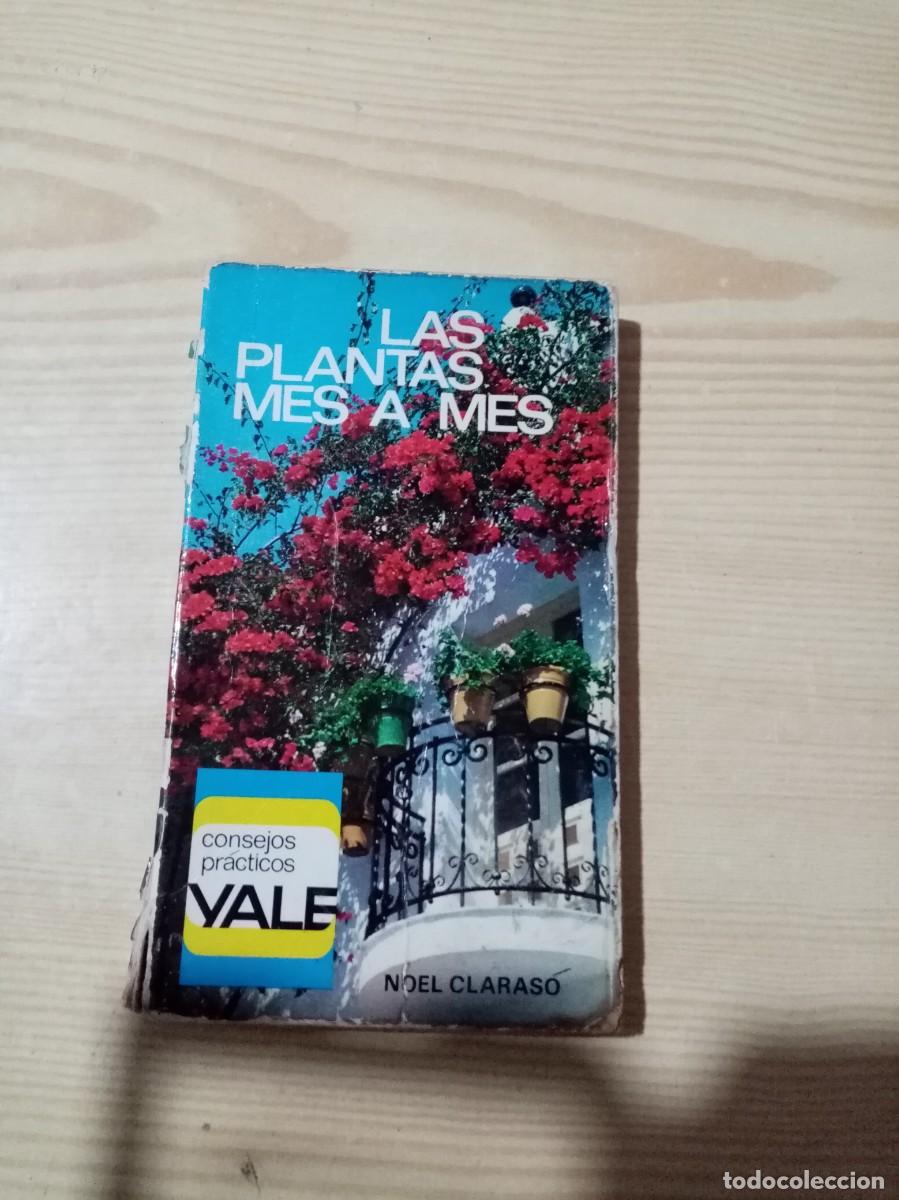 Libros de segunda mano: LAS PLANTAS MES A MES. NOEL CLARASO EST6B3 - Foto 1