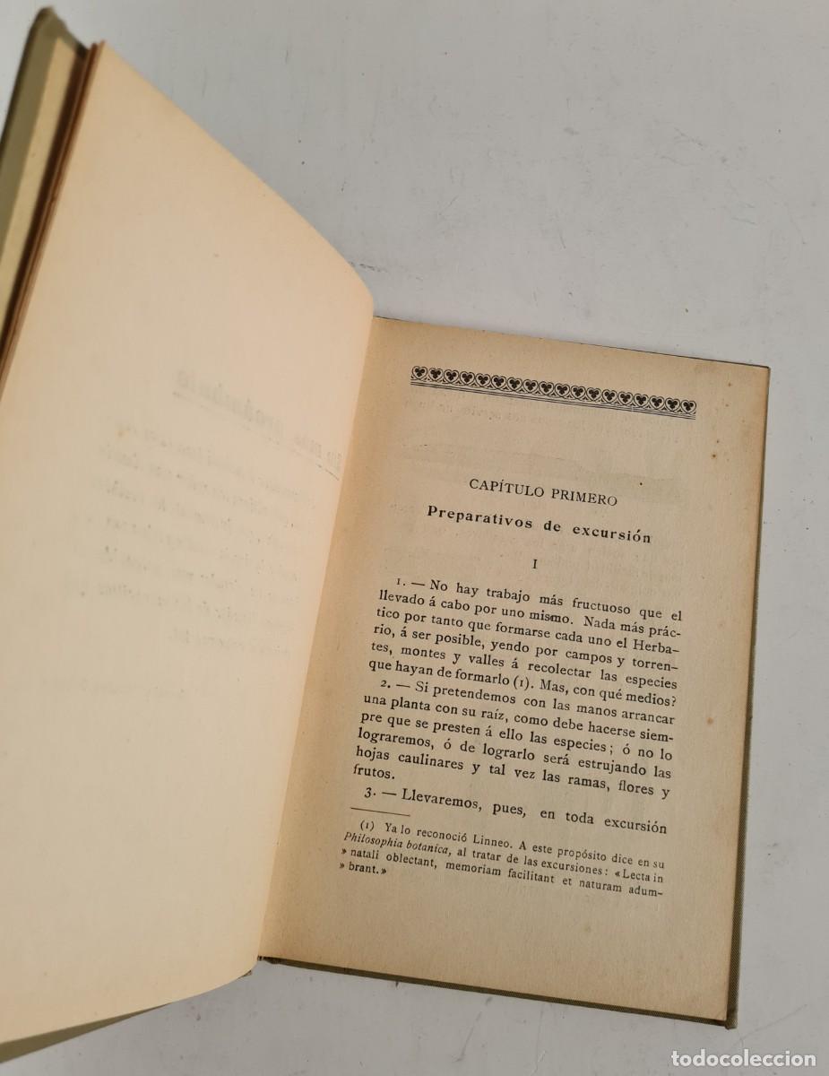 Libros de segunda mano: Antiguo Manual Pr&aacute;ctico del Bot&aacute;nico Herborizador 1908 - Bot&aacute;nica - Foto 10