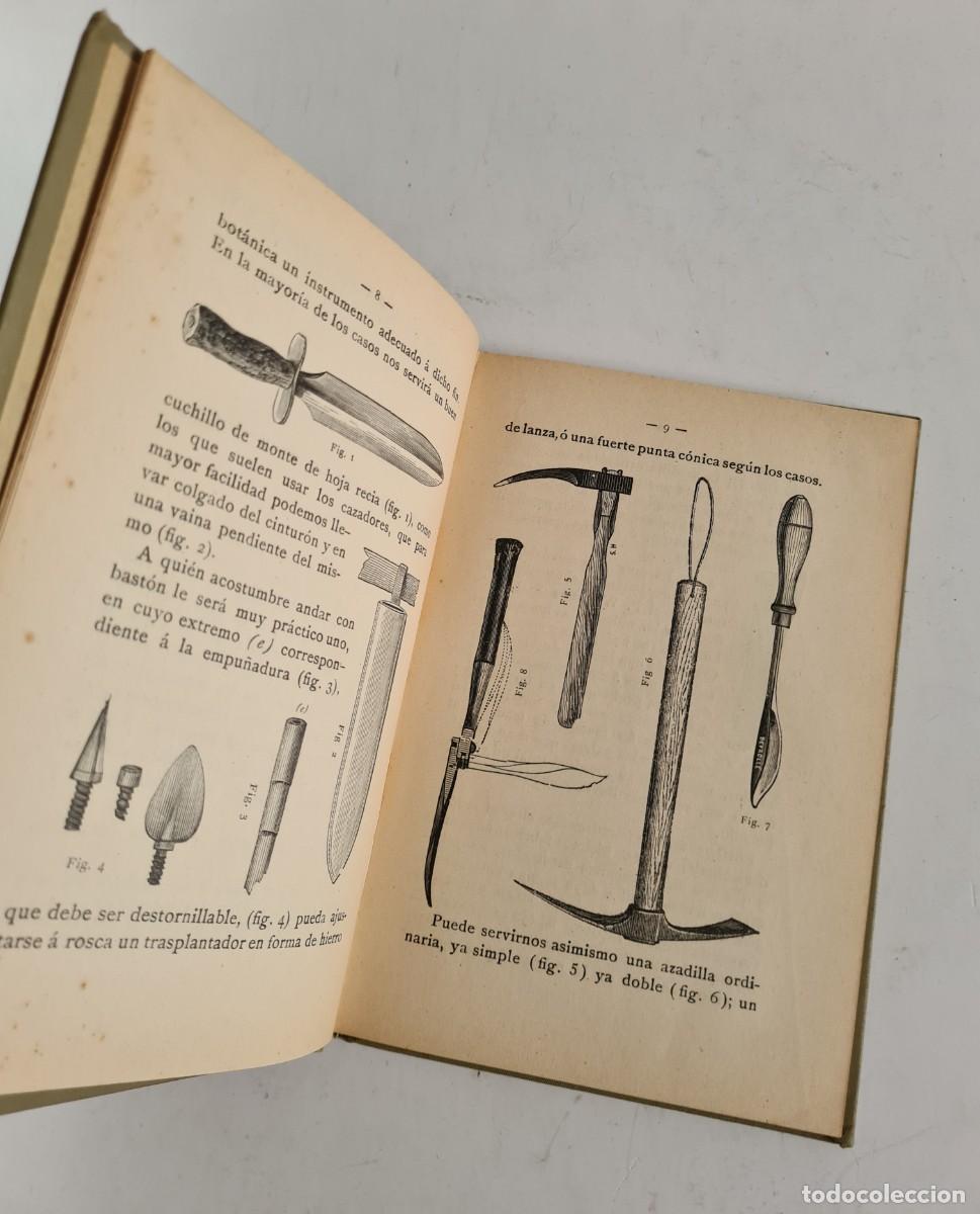 Libros de segunda mano: Antiguo Manual Pr&aacute;ctico del Bot&aacute;nico Herborizador 1908 - Bot&aacute;nica - Foto 11