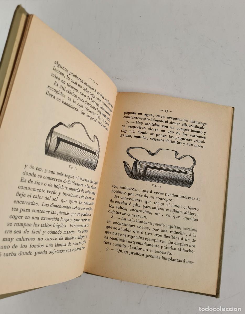 Libros de segunda mano: Antiguo Manual Pr&aacute;ctico del Bot&aacute;nico Herborizador 1908 - Bot&aacute;nica - Foto 12