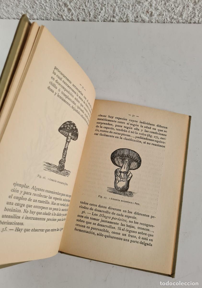 Libros de segunda mano: Antiguo Manual Pr&aacute;ctico del Bot&aacute;nico Herborizador 1908 - Bot&aacute;nica - Foto 15