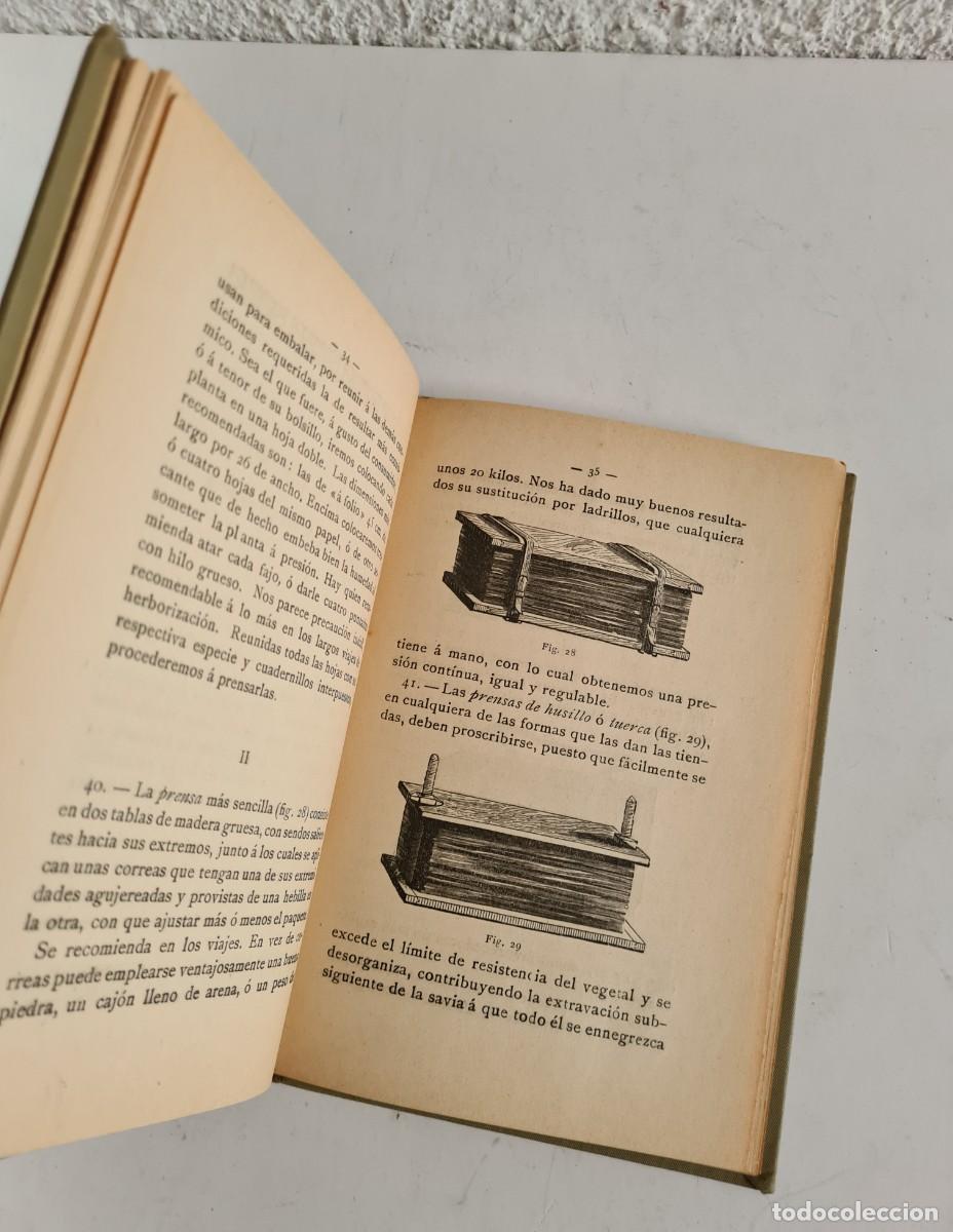 Libros de segunda mano: Antiguo Manual Pr&aacute;ctico del Bot&aacute;nico Herborizador 1908 - Bot&aacute;nica - Foto 16
