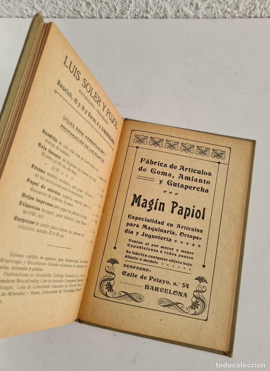 Libros de segunda mano: Antiguo Manual Pr&aacute;ctico del Bot&aacute;nico Herborizador 1908 - Bot&aacute;nica - Foto 23