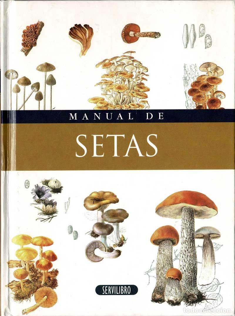 Libros de segunda mano: Manual de Setas - M&ordf; Jos&eacute; L&oacute;pez, Isabel Ortiz - Foto 1