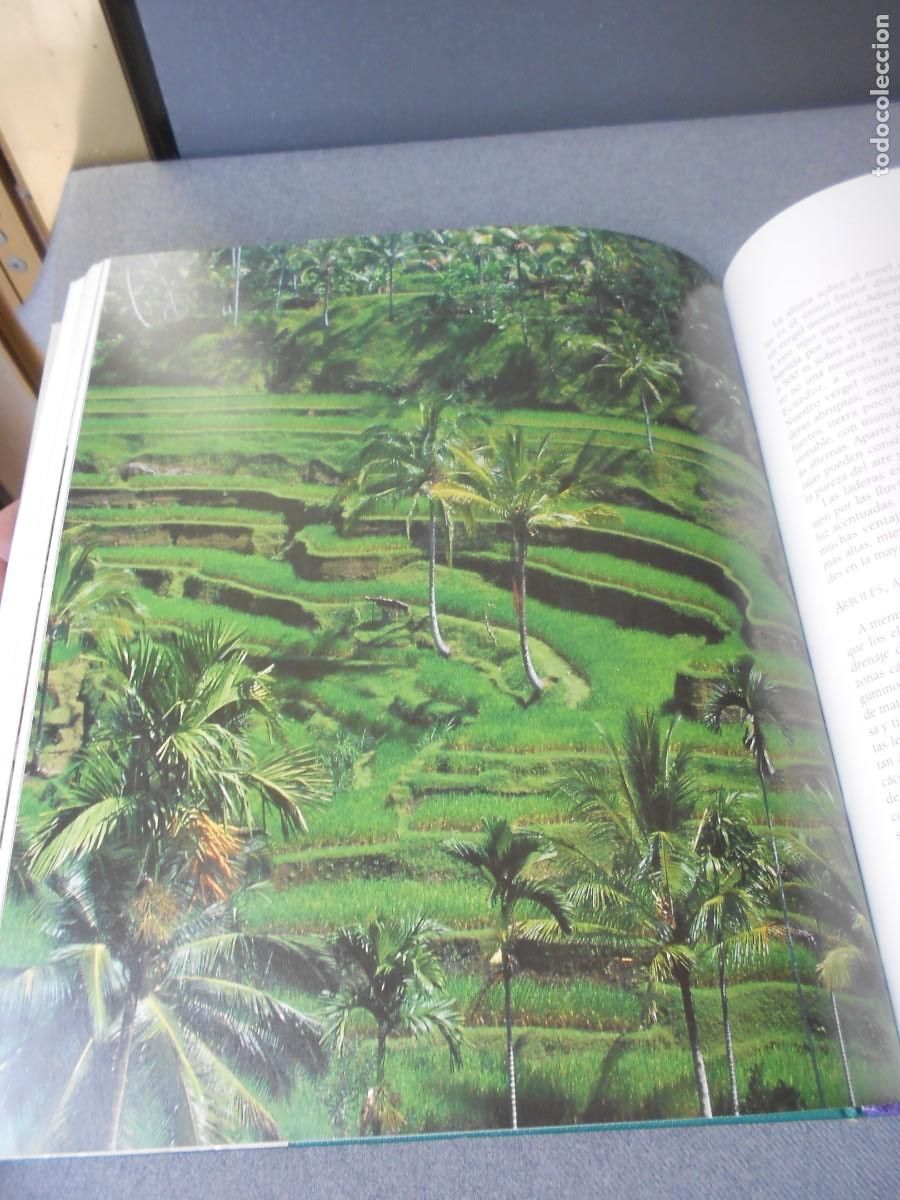 Libros de segunda mano: EL LIBRO DEL JARDIN NATURAL - Foto 5