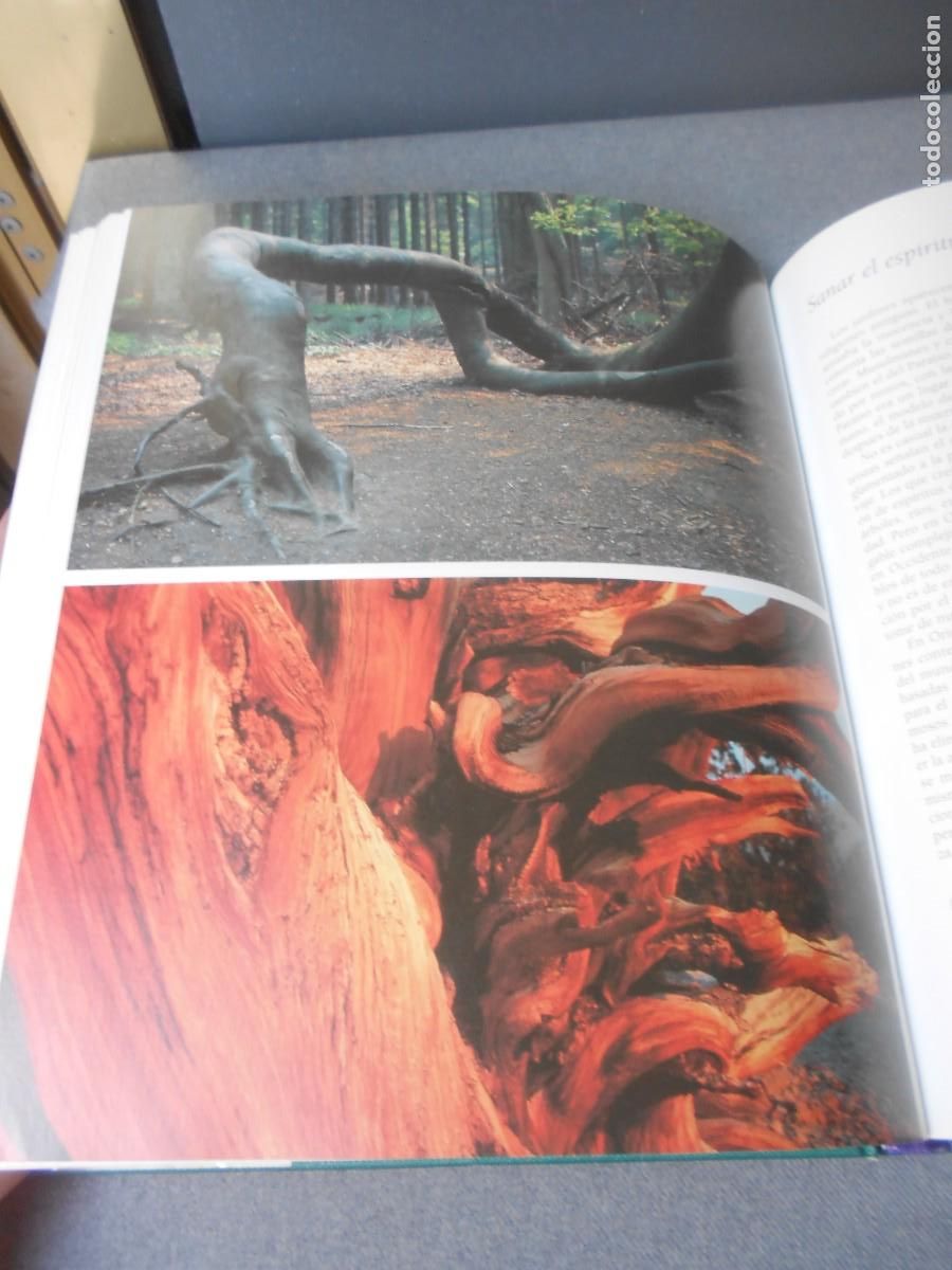 Libros de segunda mano: EL LIBRO DEL JARDIN NATURAL - Foto 8
