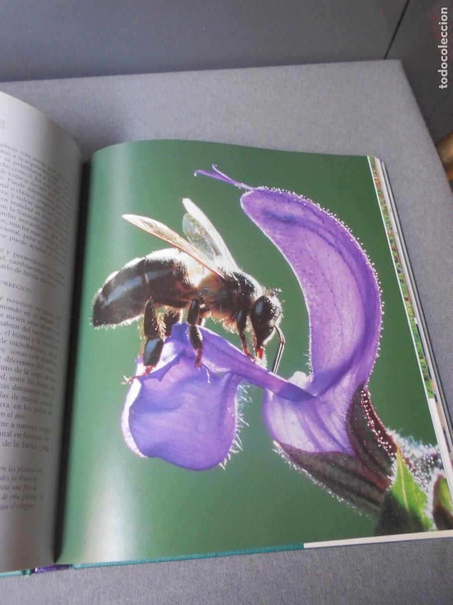 Libros de segunda mano: EL LIBRO DEL JARDIN NATURAL - Foto 10
