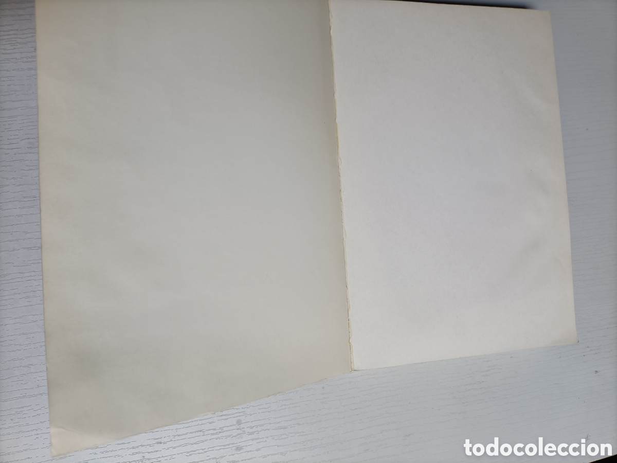 Libros de segunda mano de ciencias: F&aacute;bricas hidr&aacute;ulicas espa&ntilde;olas Ignacio Gonz&aacute;lez Tasc&oacute;n - Foto 8
