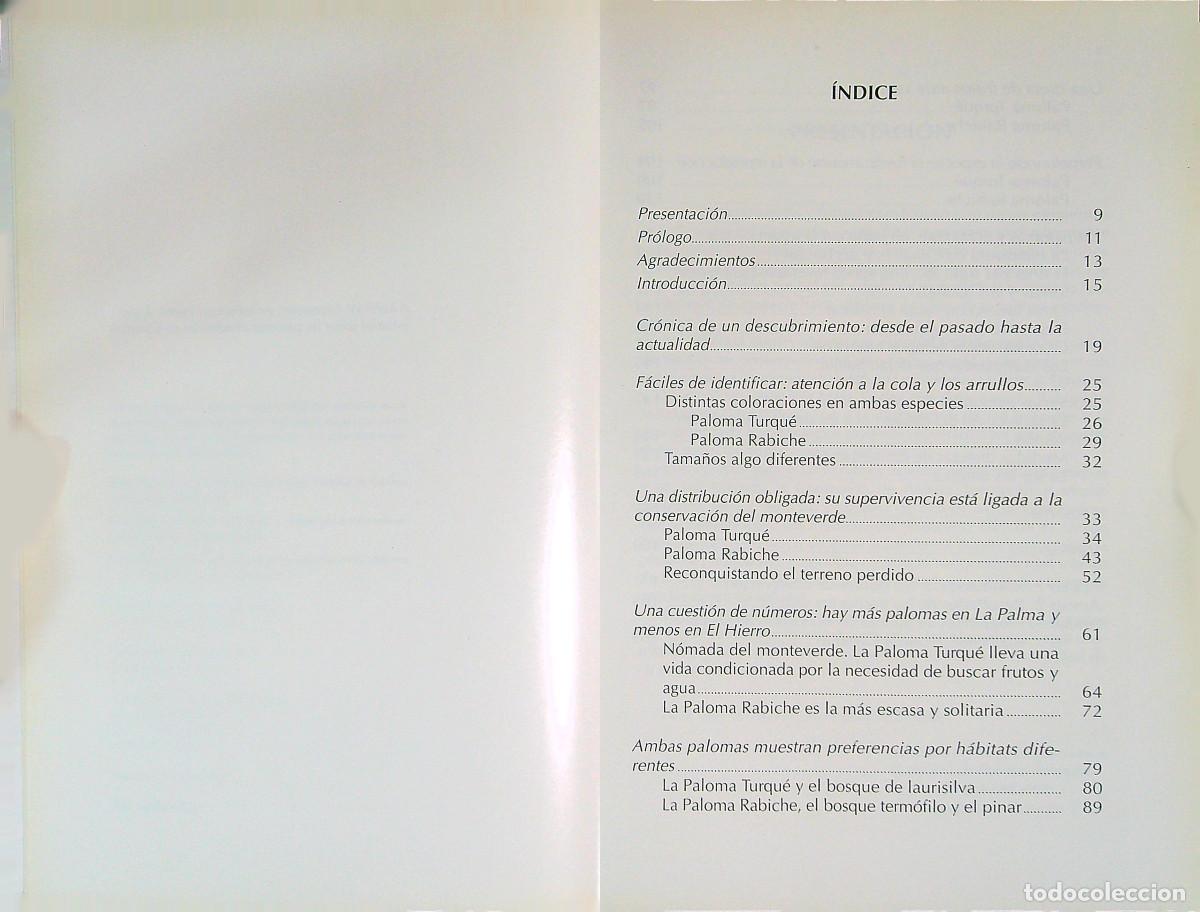 Libros de segunda mano: LAS PALOMAS END&Eacute;MICAS DE CANARIAS - VV.AA. - 2000 - CANARIAS - Foto 2