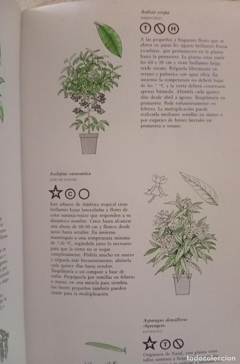 Libros de segunda mano: MANUAL PRACTICO DE PLANTAS DE INTERIOR - GEORGE SEDDON - Foto 2