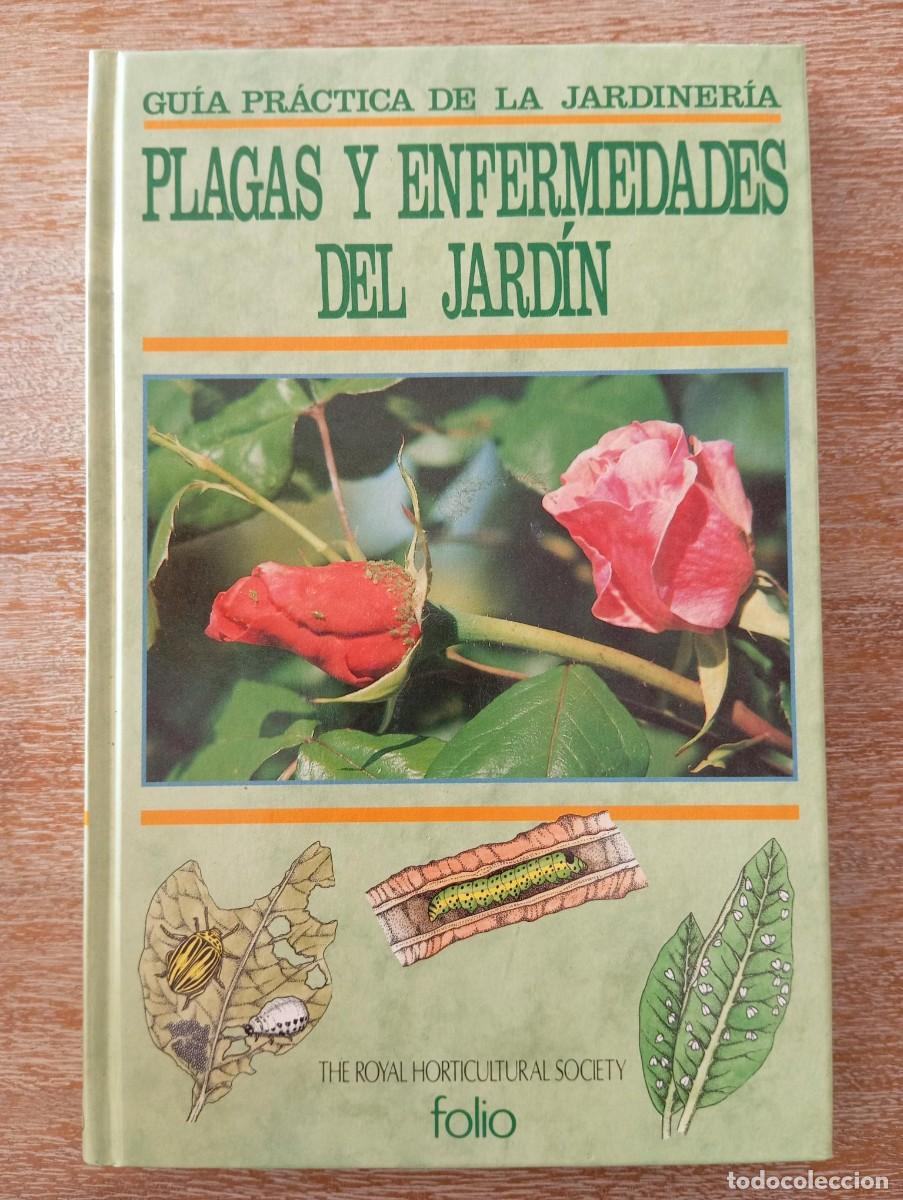 Libros de segunda mano: PLAGAS Y ENFERMEDADES DEL JARDIN - ED. FOLIO - Foto 1