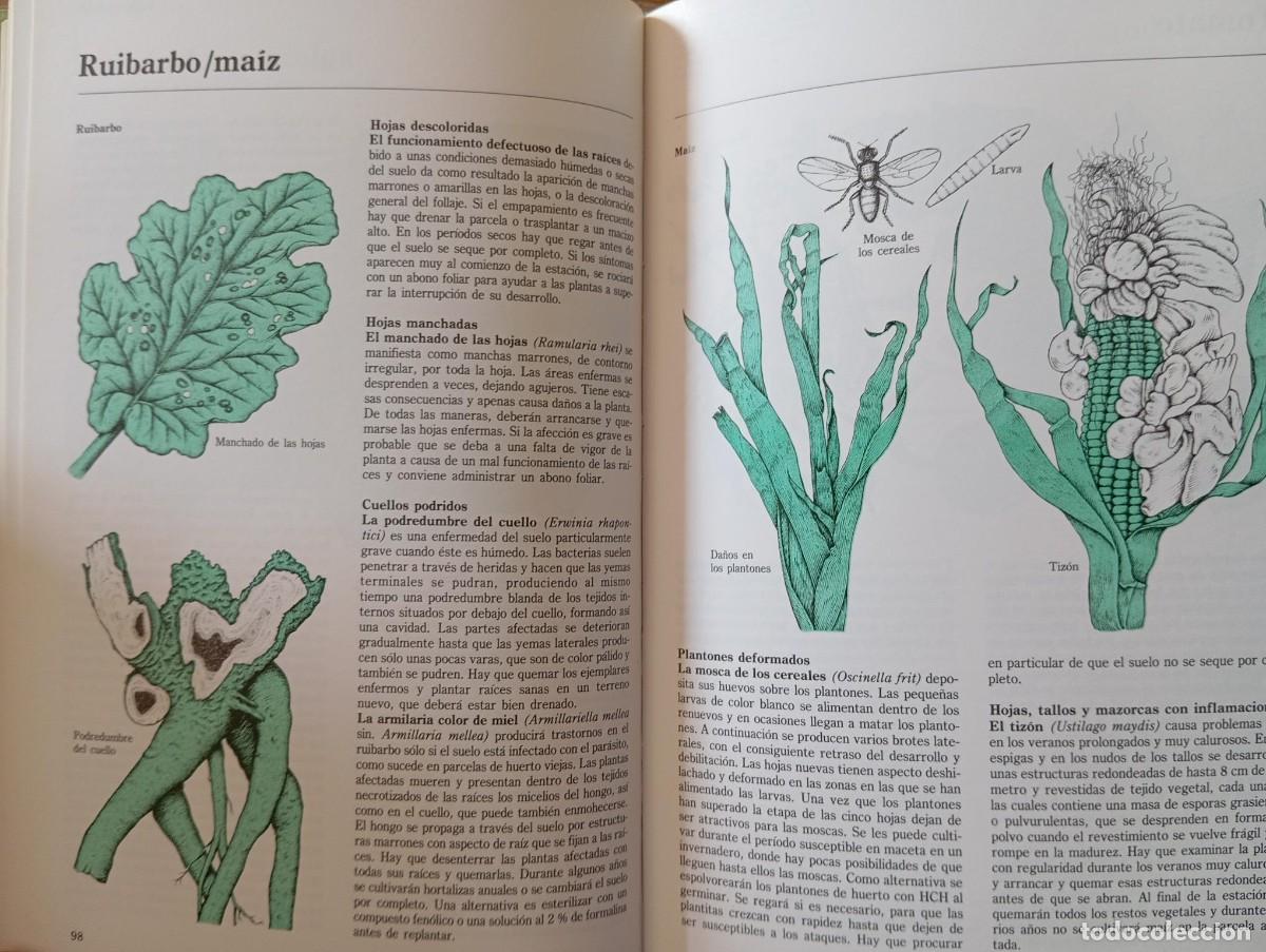 Libros de segunda mano: PLAGAS Y ENFERMEDADES DEL JARDIN - ED. FOLIO - Foto 2