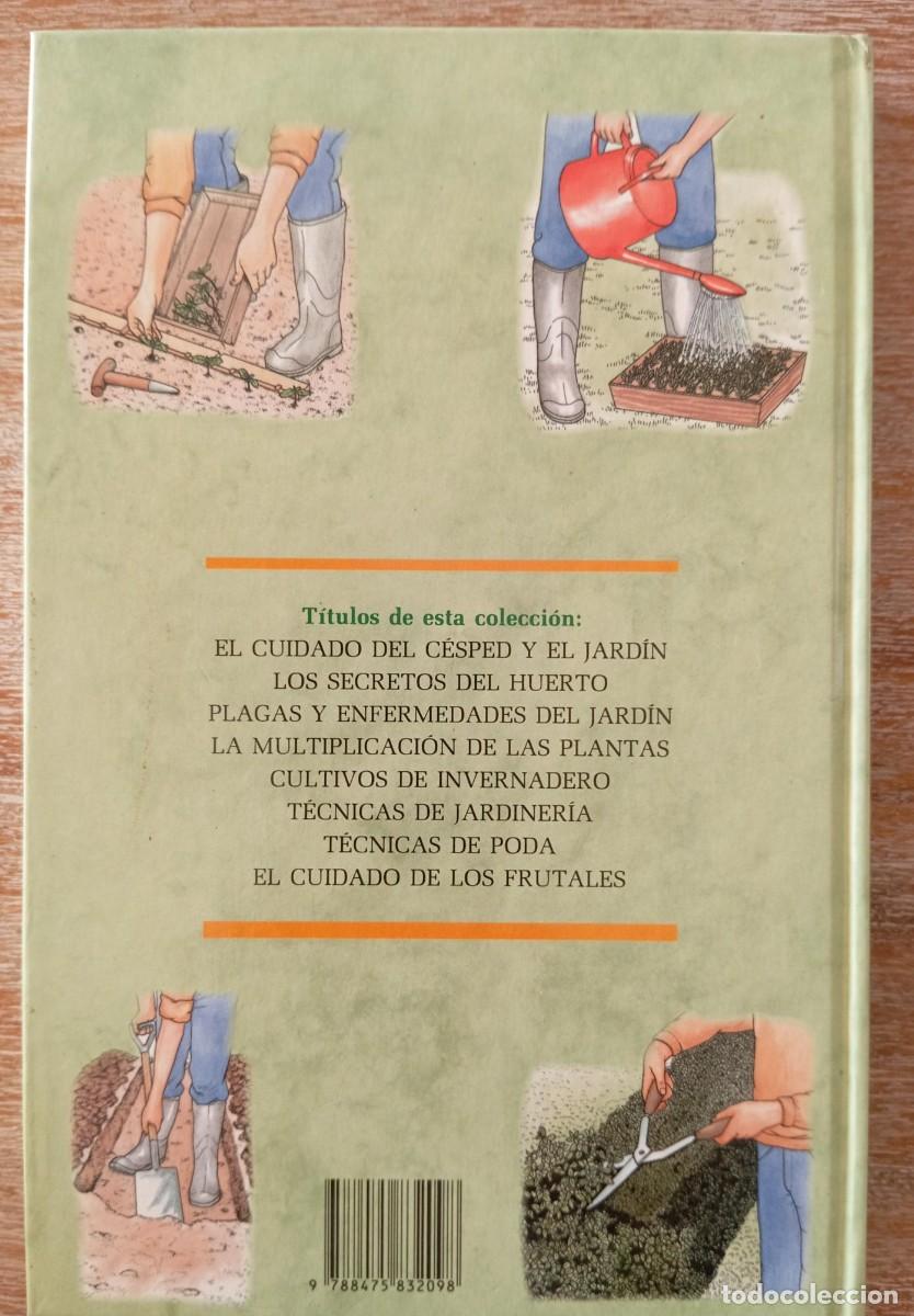 Libros de segunda mano: PLAGAS Y ENFERMEDADES DEL JARDIN - ED. FOLIO - Foto 4