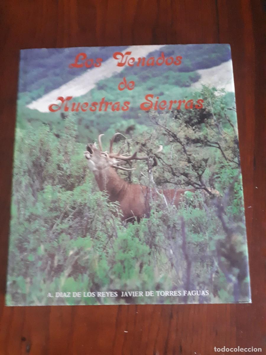 Libros de segunda mano: LOS VENADOS DE NUESTRAS SIERRAS.- A. DIAZ Y JAVIER DE TORRES. - Foto 1