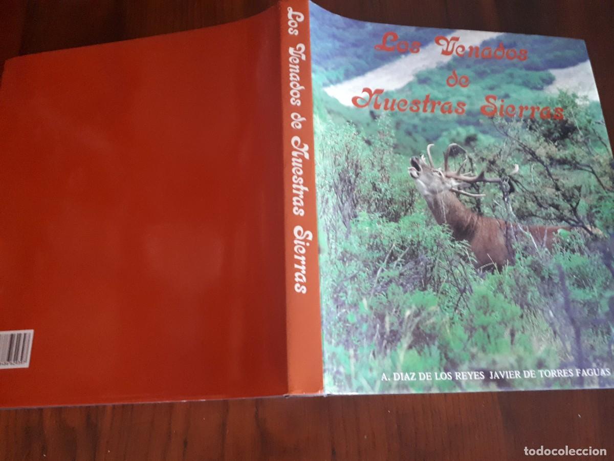 Libros de segunda mano: LOS VENADOS DE NUESTRAS SIERRAS.- A. DIAZ Y JAVIER DE TORRES. - Foto 2