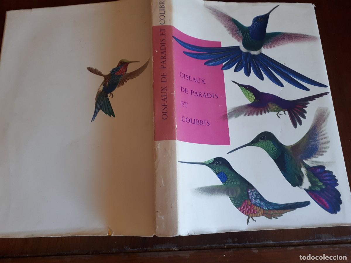 Libros de segunda mano: Oiseaux de paradis et colibris.-Sutter Ernst, Walter Linsenmaier, Paul G&eacute;roudet. - Foto 2