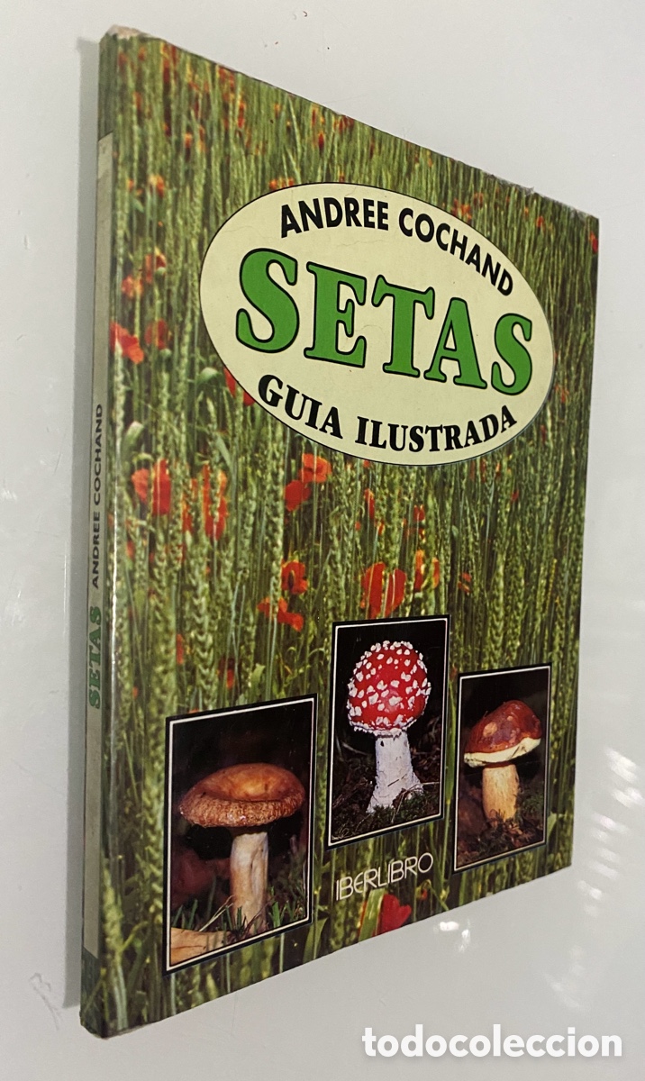 Libros de segunda mano: Setas (Gu&iacute;a ilustrada) - COCHAND, Andree - Foto 1