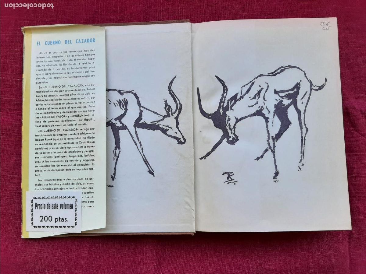 Libros de segunda mano: El cuerno del cazador - Ruark, Robert - Foto 3