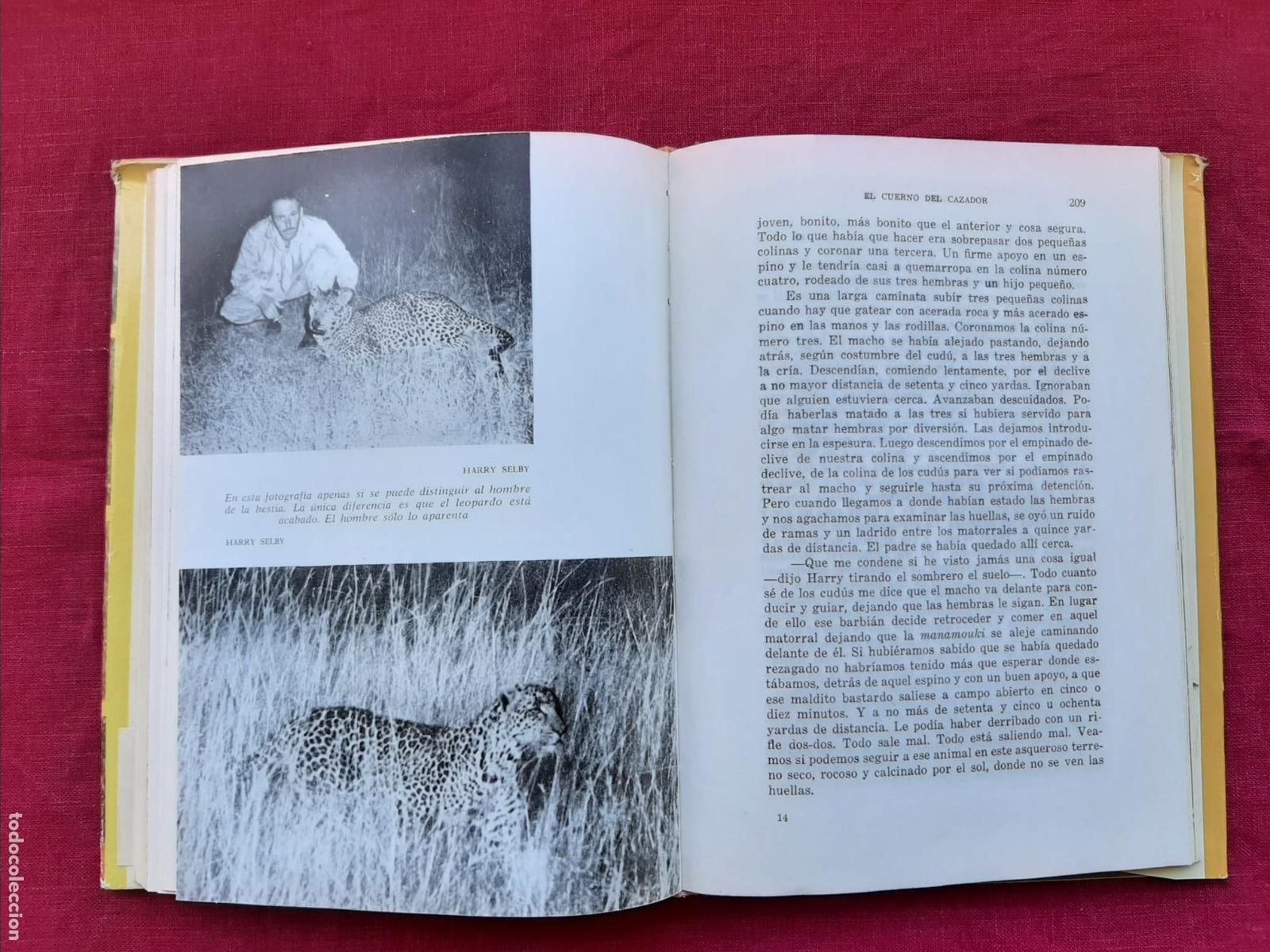 Libros de segunda mano: El cuerno del cazador - Ruark, Robert - Foto 6