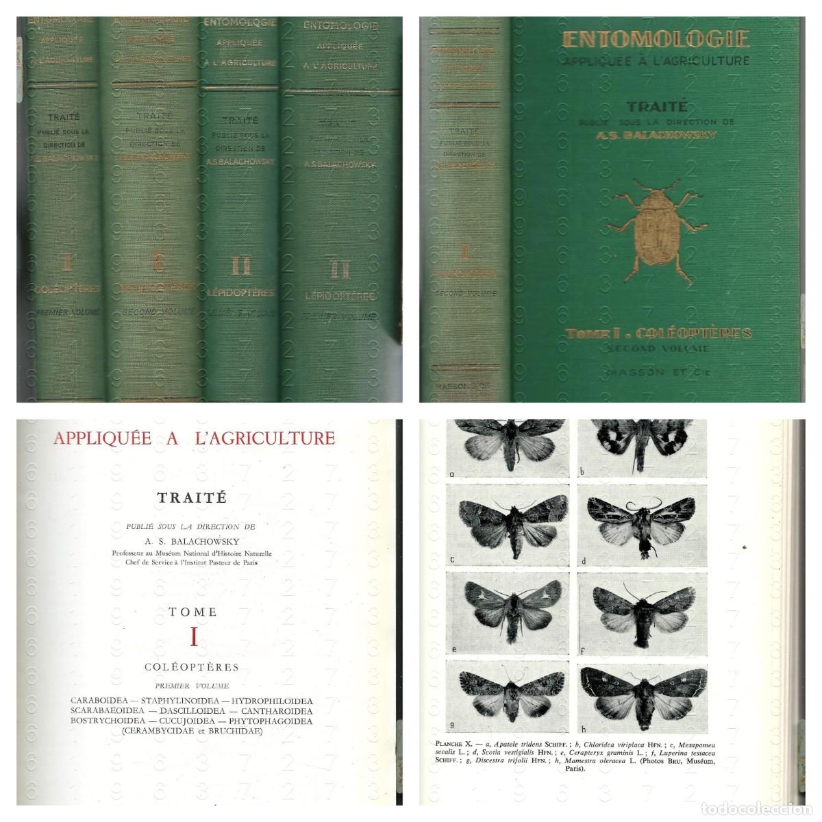 Gebrauchte B&uuml;cher: ENTOMOLOGIA APLICADA A LA AGRICULTURA BALACHOWSKY LEPIDOPTEROS COLEOPTEROS LG41