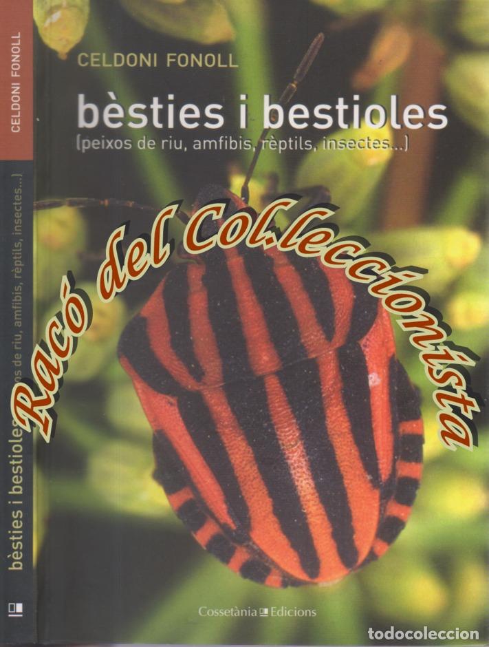 Gebrauchte B&uuml;cher: BESTIES I BESTIOLES (PEIXOS DE RIU, AMFIBIS, REPTILS, INSECTES), CELDONI FONOLL, COSSETANIA , 2010