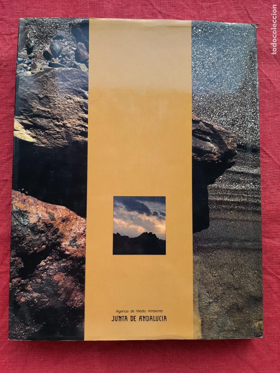 Libros de segunda mano: Recursos Naturales de Andaluc&iacute;a - Vv. Aa. - Foto 2