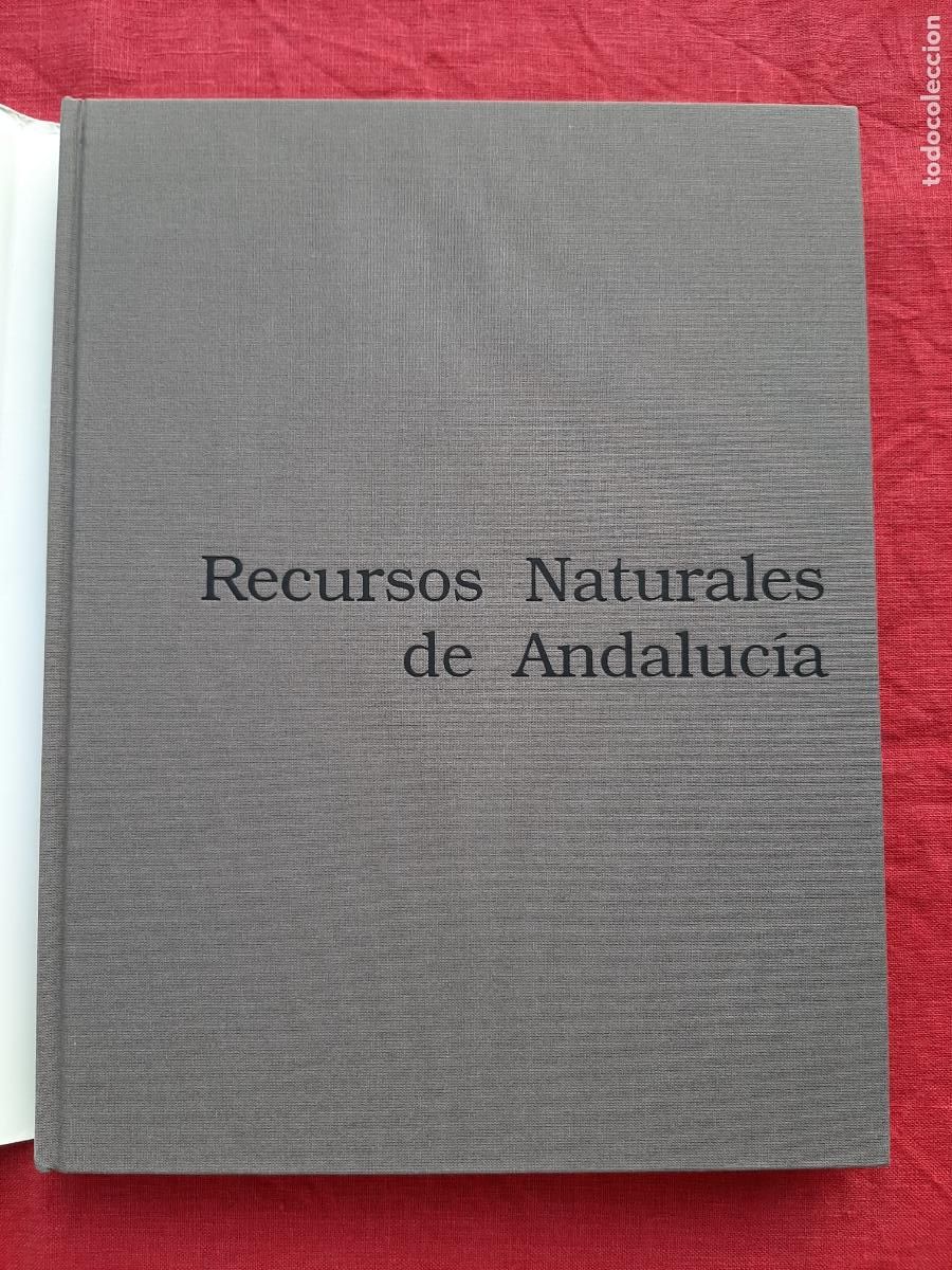 Libros de segunda mano: Recursos Naturales de Andaluc&iacute;a - Vv. Aa. - Foto 3