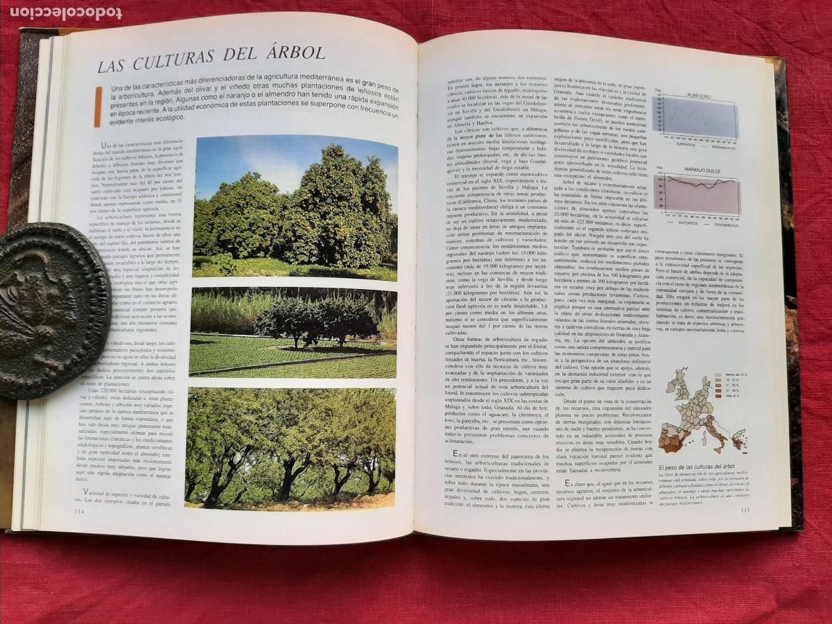 Libros de segunda mano: Recursos Naturales de Andaluc&iacute;a - Vv. Aa. - Foto 4